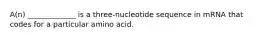 A(n) _____________ is a three-nucleotide sequence in mRNA that codes for a particular amino acid.