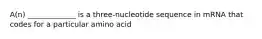 A(n) _____________ is a three-nucleotide sequence in mRNA that codes for a particular amino acid