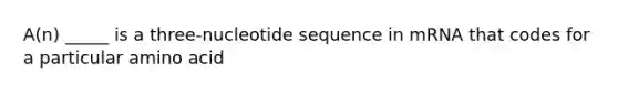 A(n) _____ is a three-nucleotide sequence in mRNA that codes for a particular amino acid