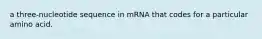 a three-nucleotide sequence in mRNA that codes for a particular amino acid.