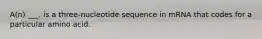 A(n) ___, is a three-nucleotide sequence in mRNA that codes for a particular amino acid.