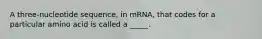 A three-nucleotide sequence, in mRNA, that codes for a particular amino acid is called a _____.