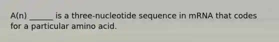 A(n) ______ is a three-nucleotide sequence in mRNA that codes for a particular amino acid.