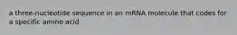 a three-nucleotide sequence in an mRNA molecule that codes for a specific amino acid
