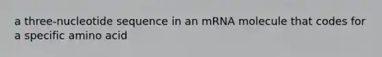 a three-nucleotide sequence in an mRNA molecule that codes for a specific amino acid