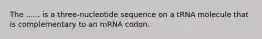 The ...... is a three-nucleotide sequence on a tRNA molecule that is complementary to an mRNA codon.