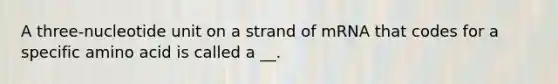 A three-nucleotide unit on a strand of mRNA that codes for a specific amino acid is called a __.