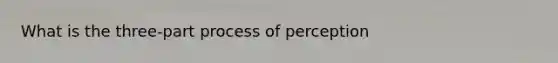 What is the three-part process of perception