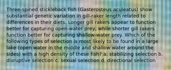 Three-spined stickleback fish (Gasterosteus aculeatus) show substantial genetic variation in gill-raker length related to differences in their diets. Longer gill rakers appear to function better for capturing open-water prey, while shorter gill rakers function better for capturing shallow-water prey. Which of the following types of selection is most likely to be found in a large lake (open water in the middle and shallow water around the sides) with a high density of these fish? a. stabilizing selection b. disruptive selection c. sexual selection d. directional selection