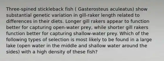 Three-spined stickleback fish ( Gasterosteus aculeatus) show substantial genetic variation in gill-raker length related to differences in their diets. Longer gill rakers appear to function better for capturing open-water prey, while shorter gill rakers function better for capturing shallow-water prey. Which of the following types of selection is most likely to be found in a large lake (open water in the middle and shallow water around the sides) with a high density of these fish?