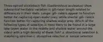 Three-spined stickleback fish (Gasterosteus aculeatus) show substantial heritable variation in gill-raker length related to differences in their diets. Longer gill- rakers appear to function better for capturing open-water prey, while shorter gill- rakers function better for capturing shallow-water prey. Which of the following types of selection is most likely to be found in a large lake (open water in the middle and shallow water around the sides) with a high density of these fish? a. directional selection b. stabilizing selection c. disruptive selection d. sexual selection