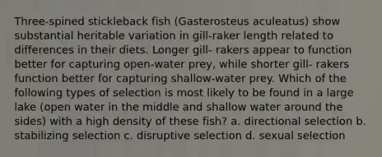 Three-spined stickleback fish (Gasterosteus aculeatus) show substantial heritable variation in gill-raker length related to differences in their diets. Longer gill- rakers appear to function better for capturing open-water prey, while shorter gill- rakers function better for capturing shallow-water prey. Which of the following types of selection is most likely to be found in a large lake (open water in the middle and shallow water around the sides) with a high density of these fish? a. directional selection b. stabilizing selection c. disruptive selection d. sexual selection