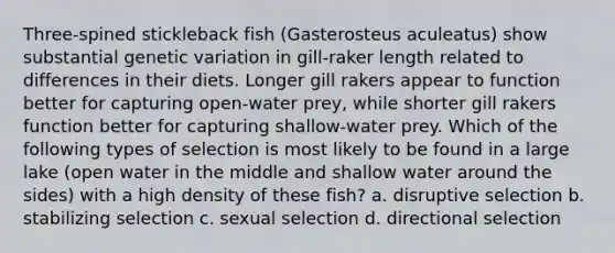 Three-spined stickleback fish (Gasterosteus aculeatus) show substantial genetic variation in gill-raker length related to differences in their diets. Longer gill rakers appear to function better for capturing open-water prey, while shorter gill rakers function better for capturing shallow-water prey. Which of the following types of selection is most likely to be found in a large lake (open water in the middle and shallow water around the sides) with a high density of these fish? a. disruptive selection b. stabilizing selection c. sexual selection d. directional selection