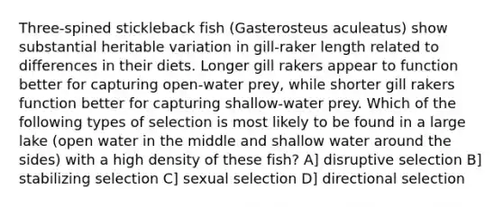 Three-spined stickleback fish (Gasterosteus aculeatus) show substantial heritable variation in gill-raker length related to differences in their diets. Longer gill rakers appear to function better for capturing open-water prey, while shorter gill rakers function better for capturing shallow-water prey. Which of the following types of selection is most likely to be found in a large lake (open water in the middle and shallow water around the sides) with a high density of these fish? A] disruptive selection B] stabilizing selection C] sexual selection D] directional selection