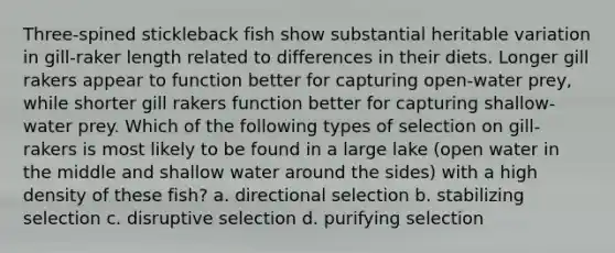 Three-spined stickleback fish show substantial heritable variation in gill-raker length related to differences in their diets. Longer gill rakers appear to function better for capturing open-water prey, while shorter gill rakers function better for capturing shallow-water prey. Which of the following types of selection on gill-rakers is most likely to be found in a large lake (open water in the middle and shallow water around the sides) with a high density of these fish? a. directional selection b. stabilizing selection c. disruptive selection d. purifying selection