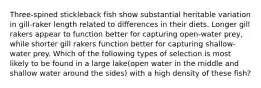 Three-spined stickleback fish show substantial heritable variation in gill-raker length related to differences in their diets. Longer gill rakers appear to function better for capturing open-water prey, while shorter gill rakers function better for capturing shallow-water prey. Which of the following types of selection is most likely to be found in a large lake(open water in the middle and shallow water around the sides) with a high density of these fish?