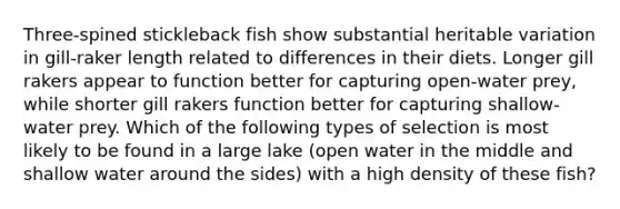 Three-spined stickleback fish show substantial heritable variation in gill-raker length related to differences in their diets. Longer gill rakers appear to function better for capturing open-water prey, while shorter gill rakers function better for capturing shallow-water prey. Which of the following types of selection is most likely to be found in a large lake (open water in the middle and shallow water around the sides) with a high density of these fish?