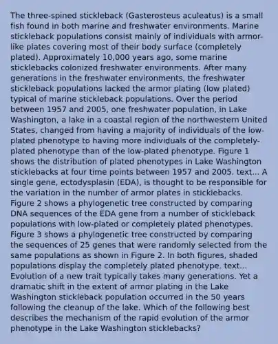 The three-spined stickleback (Gasterosteus aculeatus) is a small fish found in both marine and freshwater environments. Marine stickleback populations consist mainly of individuals with armor-like plates covering most of their body surface (completely plated). Approximately 10,000 years ago, some marine sticklebacks colonized freshwater environments. After many generations in the freshwater environments, the freshwater stickleback populations lacked the armor plating (low plated) typical of marine stickleback populations. Over the period between 1957 and 2005, one freshwater population, in Lake Washington, a lake in a coastal region of the northwestern United States, changed from having a majority of individuals of the low-plated phenotype to having more individuals of the completely-plated phenotype than of the low-plated phenotype. Figure 1 shows the distribution of plated phenotypes in Lake Washington sticklebacks at four time points between 1957 and 2005. text... A single gene, ectodysplasin (EDA), is thought to be responsible for the variation in the number of armor plates in sticklebacks. Figure 2 shows a phylogenetic tree constructed by comparing DNA sequences of the EDA gene from a number of stickleback populations with low-plated or completely plated phenotypes. Figure 3 shows a phylogenetic tree constructed by comparing the sequences of 25 genes that were randomly selected from the same populations as shown in Figure 2. In both figures, shaded populations display the completely plated phenotype. text... Evolution of a new trait typically takes many generations. Yet a dramatic shift in the extent of armor plating in the Lake Washington stickleback population occurred in the 50 years following the cleanup of the lake. Which of the following best describes the mechanism of the rapid evolution of the armor phenotype in the Lake Washington sticklebacks?
