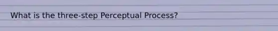 What is the three-step Perceptual Process?
