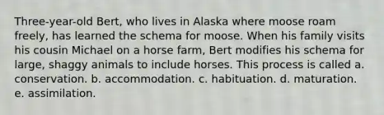 Three-year-old Bert, who lives in Alaska where moose roam freely, has learned the schema for moose. When his family visits his cousin Michael on a horse farm, Bert modifies his schema for large, shaggy animals to include horses. This process is called a. conservation. b. accommodation. c. habituation. d. maturation. e. assimilation.