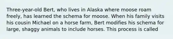 Three-year-old Bert, who lives in Alaska where moose roam freely, has learned the schema for moose. When his family visits his cousin Michael on a horse farm, Bert modifies his schema for large, shaggy animals to include horses. This process is called