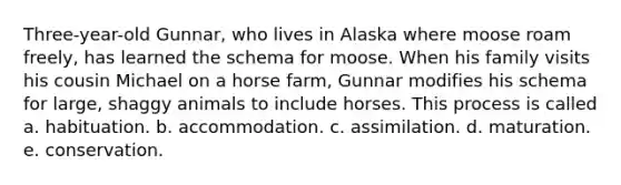 Three-year-old Gunnar, who lives in Alaska where moose roam freely, has learned the schema for moose. When his family visits his cousin Michael on a horse farm, Gunnar modifies his schema for large, shaggy animals to include horses. This process is called a. habituation. b. accommodation. c. assimilation. d. maturation. e. conservation.