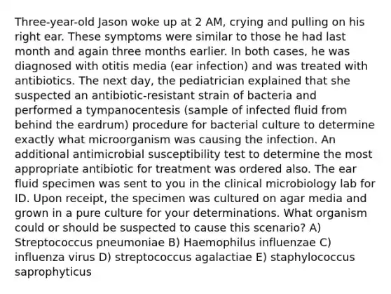 Three-year-old Jason woke up at 2 AM, crying and pulling on his right ear. These symptoms were similar to those he had last month and again three months earlier. In both cases, he was diagnosed with otitis media (ear infection) and was treated with antibiotics. The next day, the pediatrician explained that she suspected an antibiotic-resistant strain of bacteria and performed a tympanocentesis (sample of infected fluid from behind the eardrum) procedure for bacterial culture to determine exactly what microorganism was causing the infection. An additional antimicrobial susceptibility test to determine the most appropriate antibiotic for treatment was ordered also. The ear fluid specimen was sent to you in the clinical microbiology lab for ID. Upon receipt, the specimen was cultured on agar media and grown in a pure culture for your determinations. What organism could or should be suspected to cause this scenario? A) Streptococcus pneumoniae B) Haemophilus influenzae C) influenza virus D) streptococcus agalactiae E) staphylococcus saprophyticus