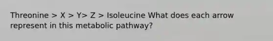 Threonine > X > Y> Z > Isoleucine What does each arrow represent in this metabolic pathway?