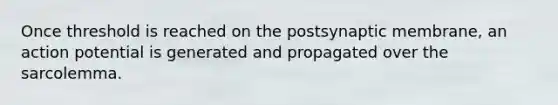 Once threshold is reached on the postsynaptic membrane, an action potential is generated and propagated over the sarcolemma.