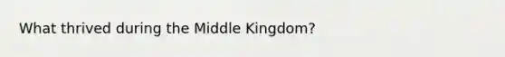 What thrived during the Middle Kingdom?