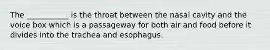 The ___________ is the throat between the nasal cavity and the voice box which is a passageway for both air and food before it divides into the trachea and esophagus.