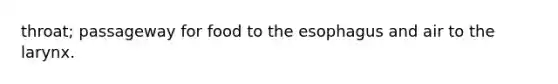 throat; passageway for food to the esophagus and air to the larynx.