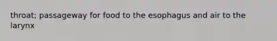 throat; passageway for food to the esophagus and air to the larynx
