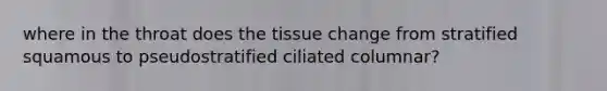 where in the throat does the tissue change from stratified squamous to pseudostratified ciliated columnar?