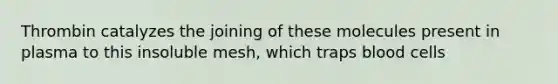 Thrombin catalyzes the joining of these molecules present in plasma to this insoluble mesh, which traps blood cells