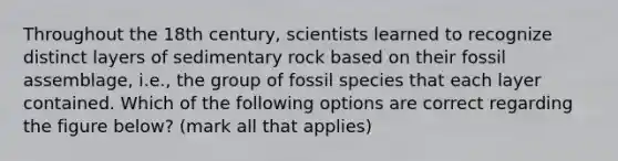 Throughout the 18th century, scientists learned to recognize distinct layers of sedimentary rock based on their fossil assemblage, i.e., the group of fossil species that each layer contained. Which of the following options are correct regarding the figure below? (mark all that applies)