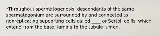 *Throughout spermatogenesis, descendants of the same spermatogonium are surrounded by and connected to nonreplicating supporting cells called ____ or Sertoli cellls, which extend from the basal lamina to the tubule lumen.