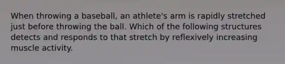 When throwing a baseball, an athlete's arm is rapidly stretched just before throwing the ball. Which of the following structures detects and responds to that stretch by reflexively increasing muscle activity.