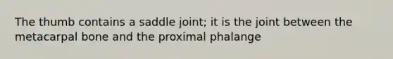 The thumb contains a saddle joint; it is the joint between the metacarpal bone and the proximal phalange