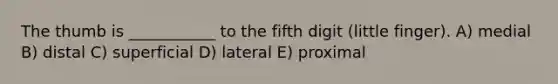 The thumb is ___________ to the fifth digit (little finger). A) medial B) distal C) superficial D) lateral E) proximal