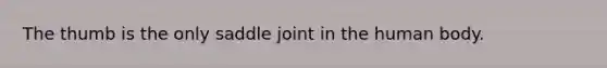 The thumb is the only saddle joint in the human body.
