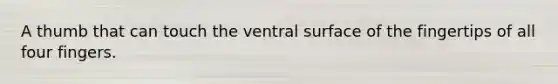 A thumb that can touch the ventral surface of the fingertips of all four fingers.