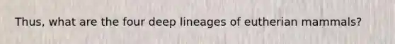 Thus, what are the four deep lineages of eutherian mammals?