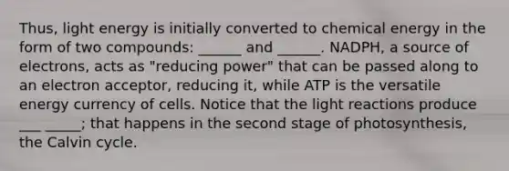 Thus, light energy is initially converted to chemical energy in the form of two compounds: ______ and ______. NADPH, a source of electrons, acts as "reducing power" that can be passed along to an electron acceptor, reducing it, while ATP is the versatile energy currency of cells. Notice that the light reactions produce ___ _____; that happens in the second stage of photosynthesis, the Calvin cycle.