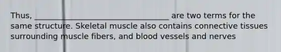 Thus, __________________________________ are two terms for the same structure. Skeletal muscle also contains <a href='https://www.questionai.com/knowledge/kYDr0DHyc8-connective-tissue' class='anchor-knowledge'>connective tissue</a>s surrounding muscle fibers, and <a href='https://www.questionai.com/knowledge/kZJ3mNKN7P-blood-vessels' class='anchor-knowledge'>blood vessels</a> and nerves