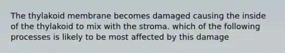 The thylakoid membrane becomes damaged causing the inside of the thylakoid to mix with the stroma. which of the following processes is likely to be most affected by this damage