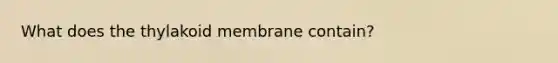 What does the thylakoid membrane contain?