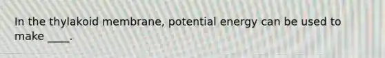 In the thylakoid membrane, potential energy can be used to make ____.