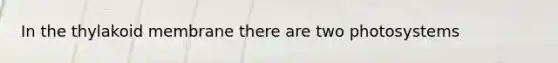 In the thylakoid membrane there are two photosystems