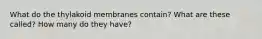 What do the thylakoid membranes contain? What are these called? How many do they have?